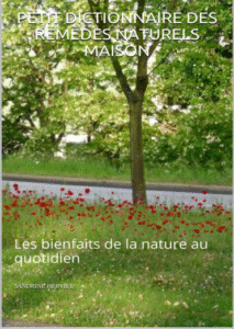 Télécharger Petit dictionnaire des remèdes naturels maison : Les bienfaits de la nature au quotidien PDF Gratuit