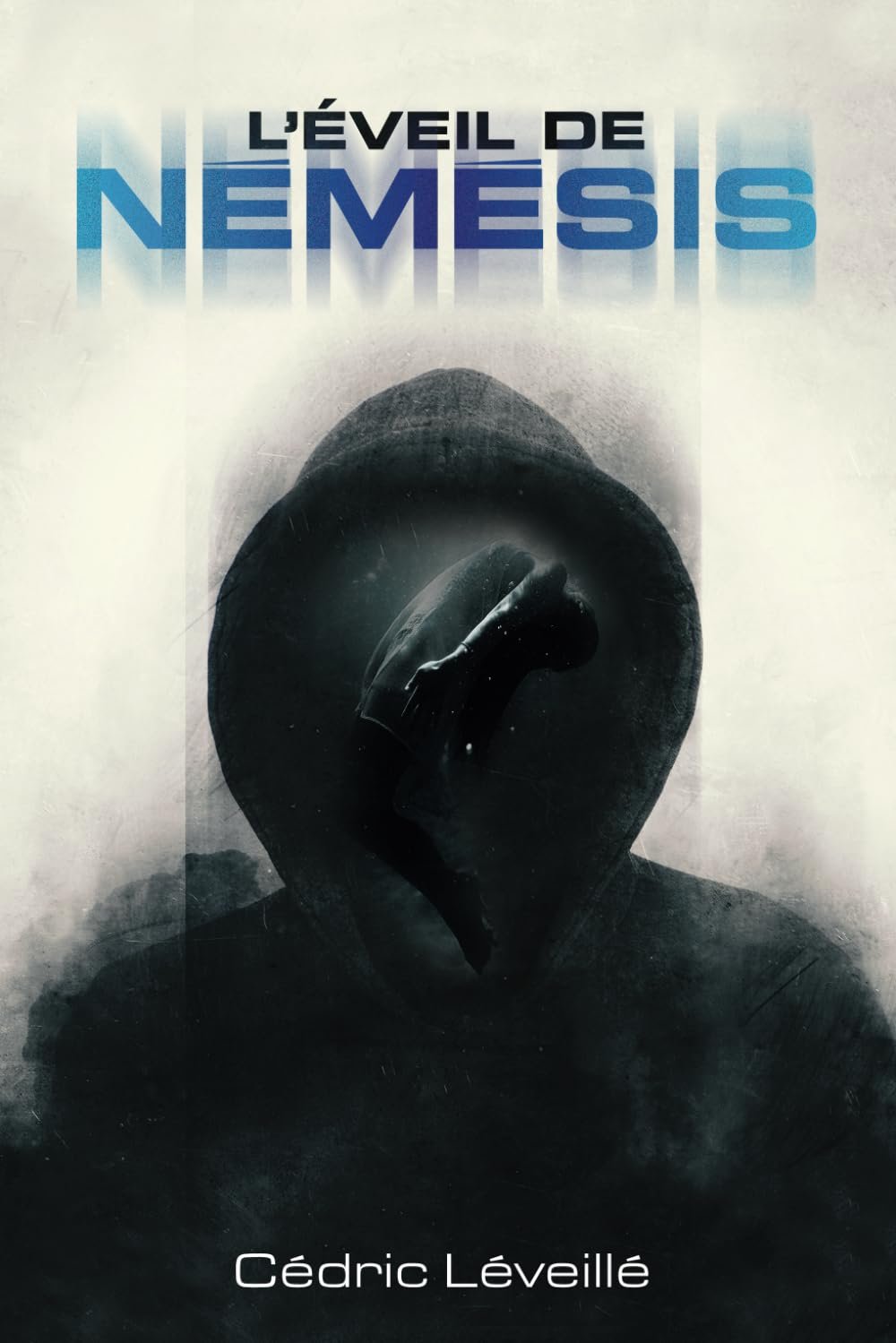 Aucune Image Disponible