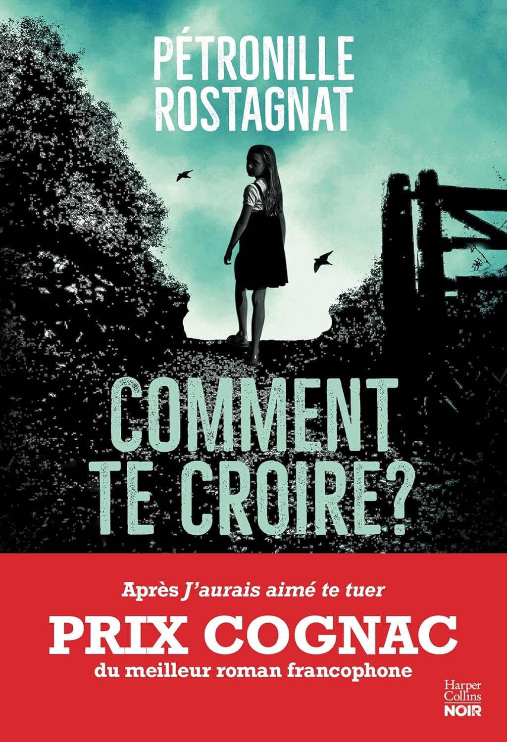 Aucune Image Disponible