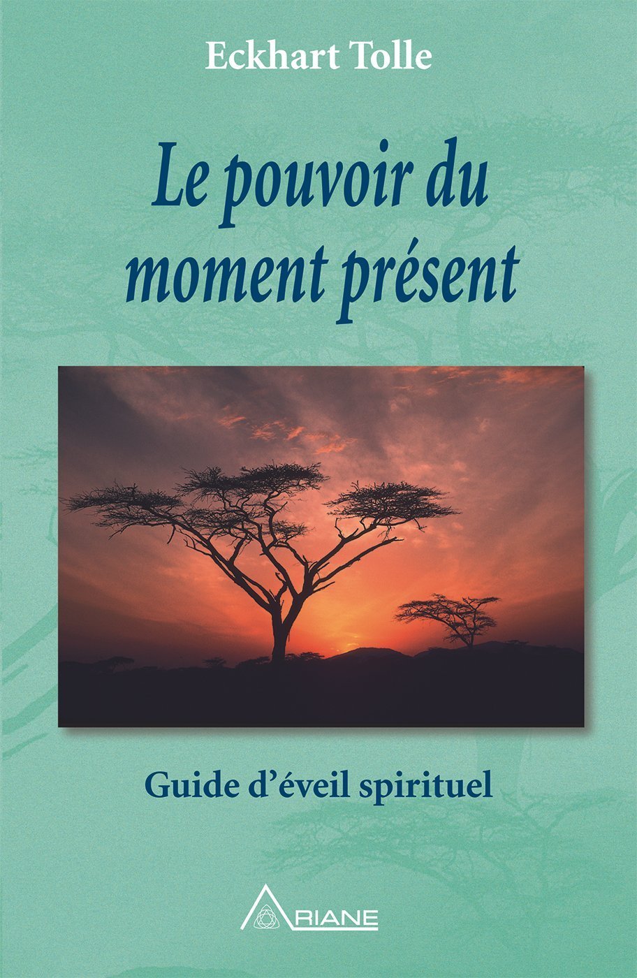 Télécharger Le pouvoir du moment présent: Guide d&rsquo;éveil spirituel (French Edition) PDF Gratuit