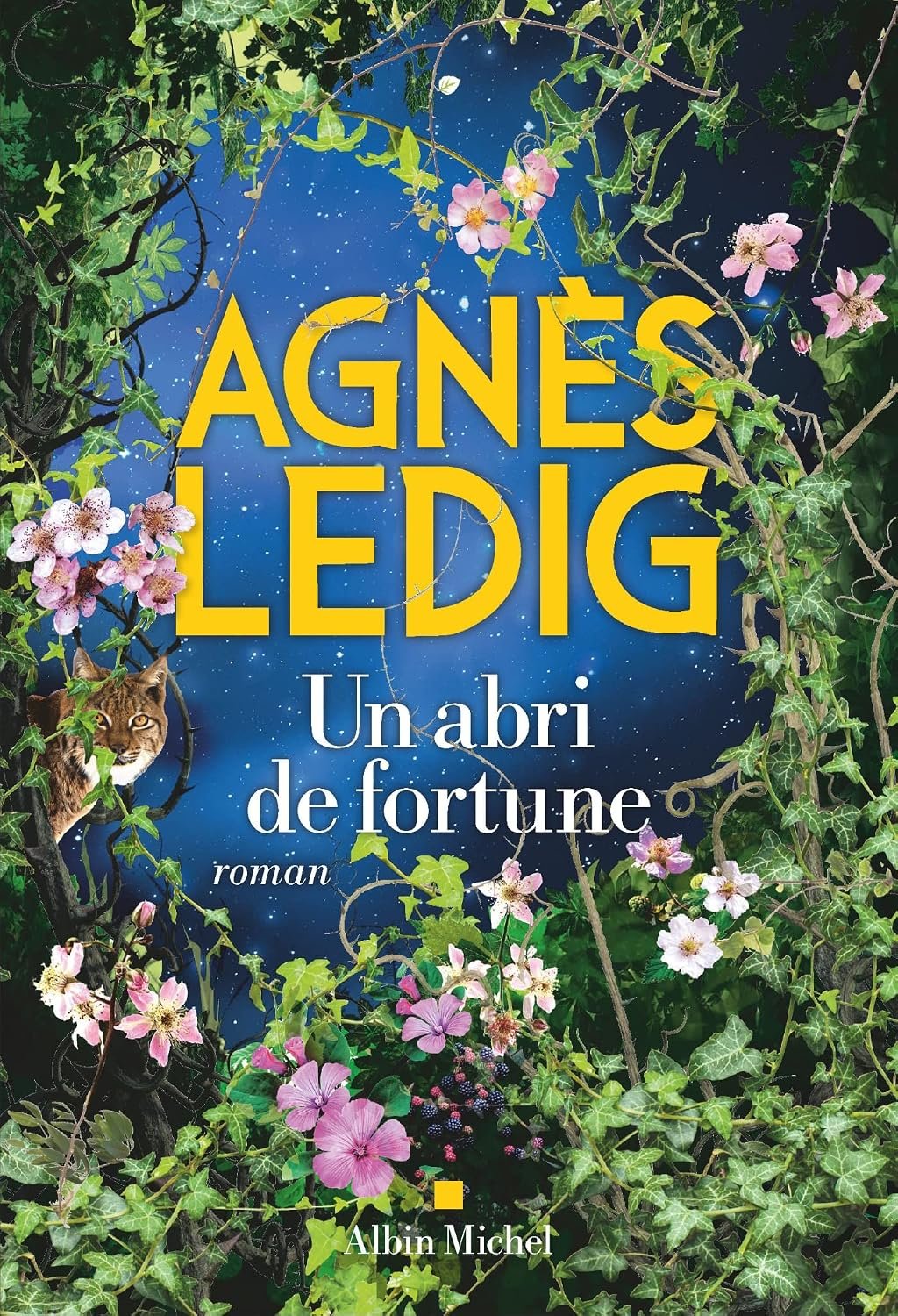 Télécharger Un abri de fortune de Agnès Ledig  PDF Gratuit